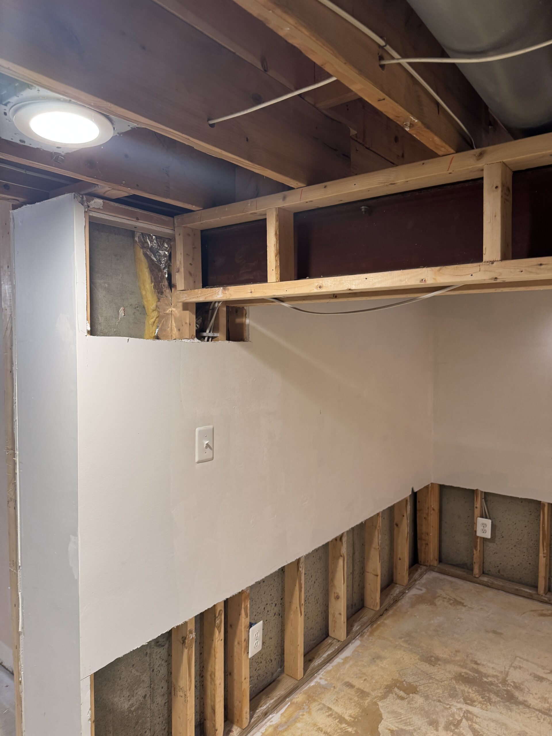 Basement Before Renovation