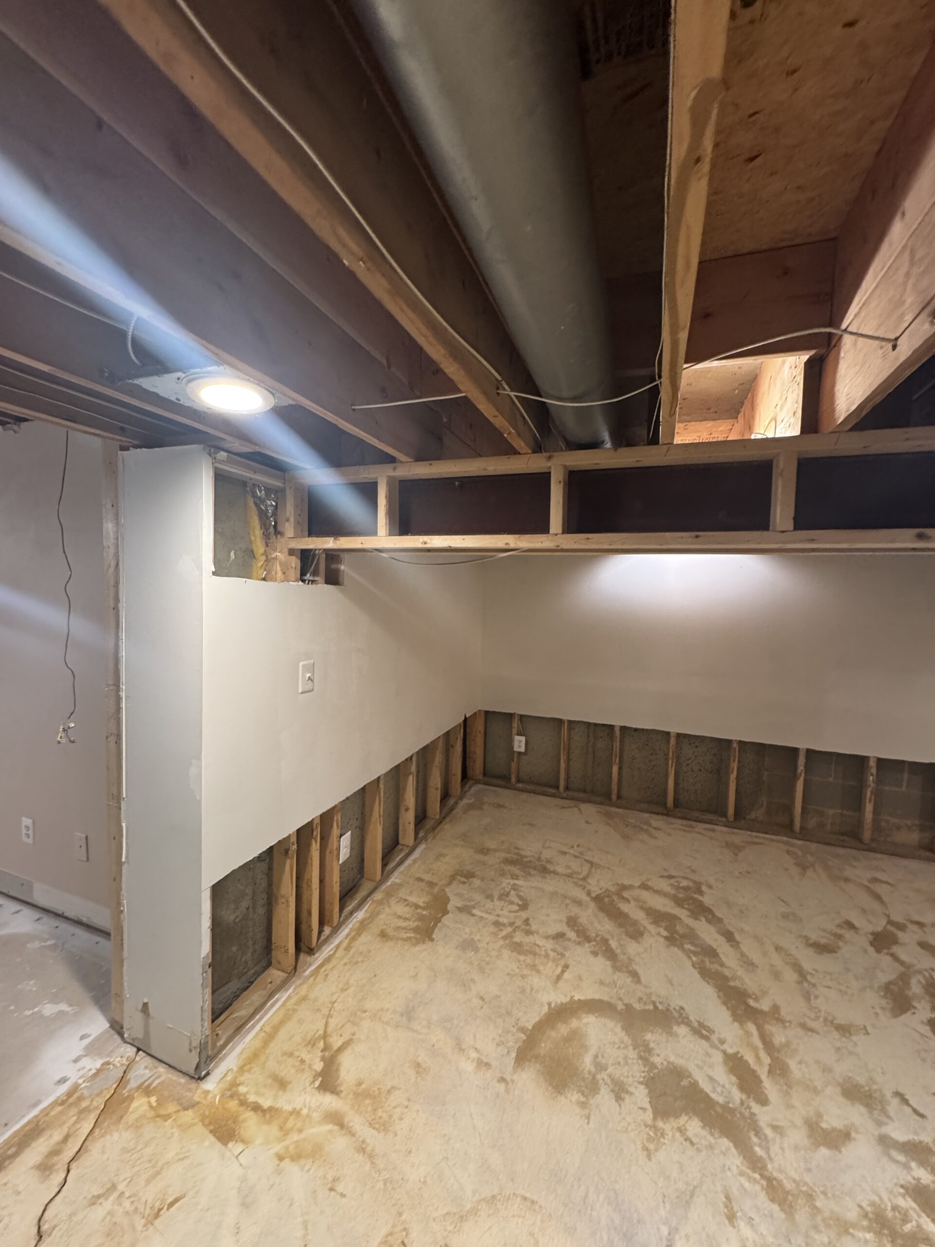 Exposed Joists Basement